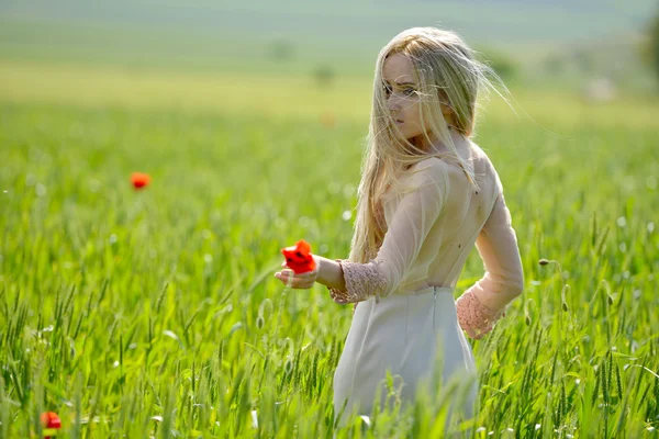 Beautiful girl on cereal field in summer — Stock Photo, Image