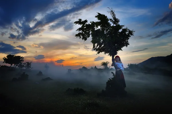 Günbatımı sahasının güzel kadın — Stok fotoğraf