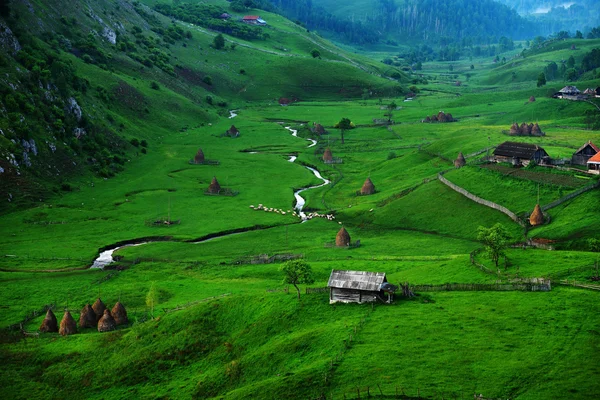 Paesaggio montano in estate mattina — Foto Stock