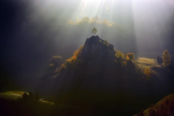 秋天的早晨雾山风景 — 图库照片