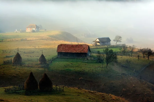 Horská krajina s podzimní ranní mlha — Stock fotografie