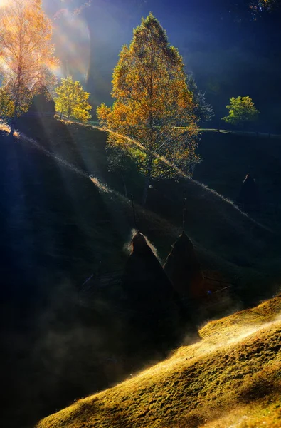 秋の朝の霧山の風景 — ストック写真