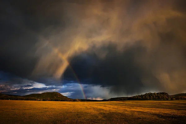 Stormachtige dag op het veld — Stockfoto
