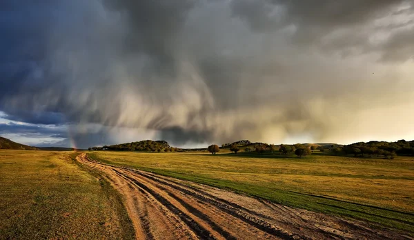 Stormachtige dag op veld in het voorjaar — Stockfoto
