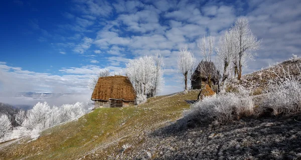 Ländliche Winterlandschaft — Stockfoto