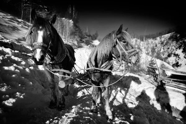 Зимний горный ландшафт — стоковое фото