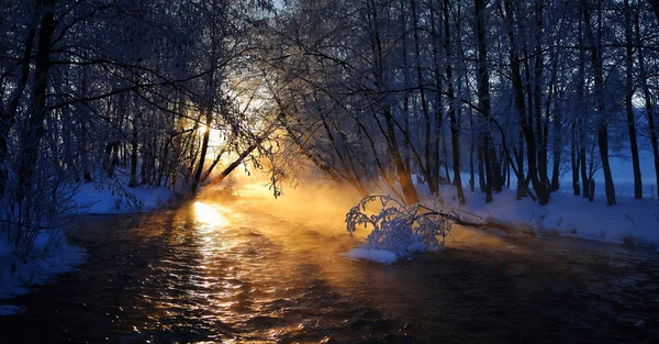 Hegyi folyó télen — Stock Fotó