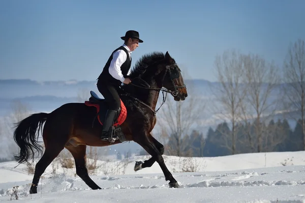 Young man riding horse — Stock Photo, Image