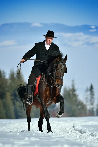 Young man riding horse — Stock Photo, Image