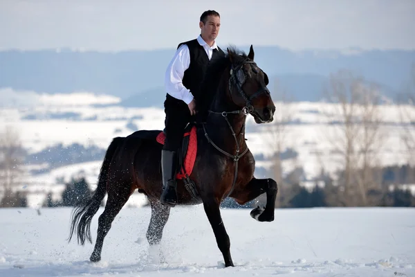 Young man riding horse — Stock Photo, Image