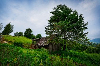 Güzel yaz manzarası