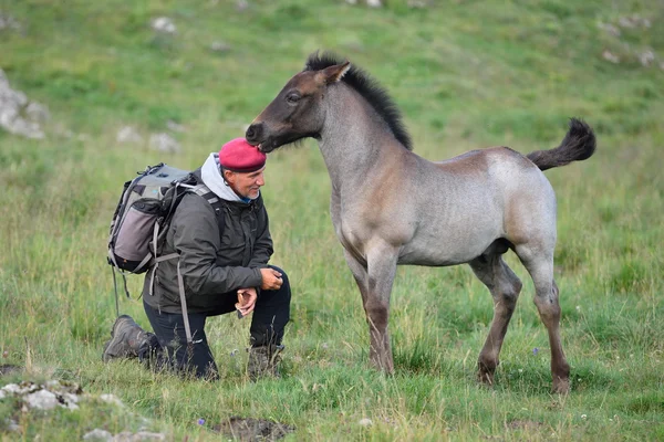 Fotoğrafçı ile at açık — Stok fotoğraf