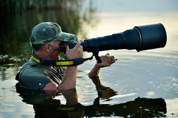 Wildlife photographer outdoor, standing in the water — Stock Photo, Image