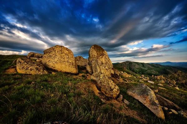 Madeira serrada em Dobrogea, Roménia — Fotografia de Stock