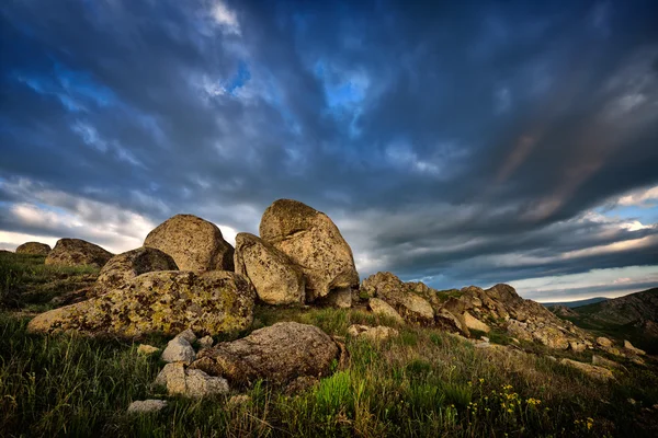 Madeira serrada em Dobrogea, Roménia — Fotografia de Stock