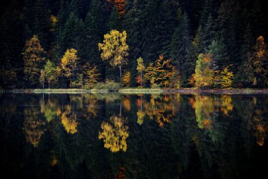 Dağlarda sonbahar manzarası