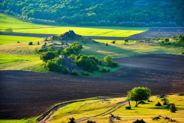 panoramik yaz manzara Dobrogea, Romanya