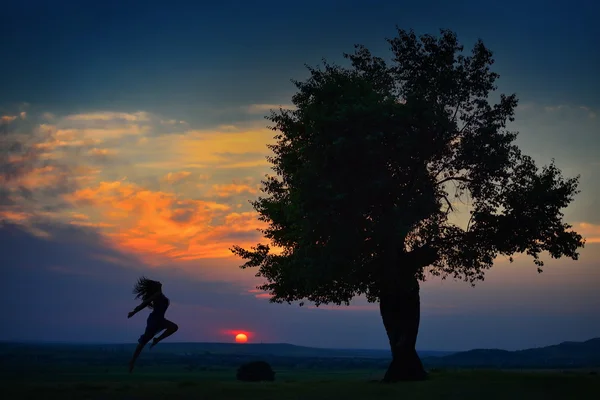 여름에 필드에 점프 하는 젊은 행복 한 여자 — 스톡 사진