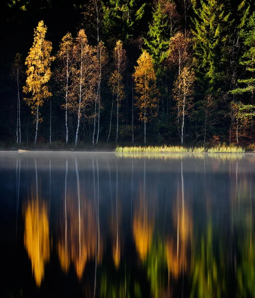 Paesaggio autunnale e il suo riflesso nel lago — Foto Stock
