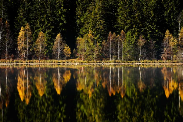 Höstlandskap och dess reflexion i sjön — Stockfoto