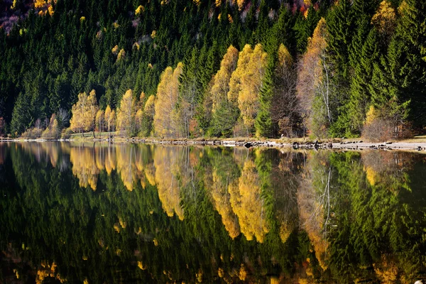Herbstlandschaft und ihr Spiegelbild im See — Stockfoto