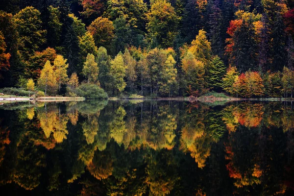 Dağlarda sonbahar manzarası — Stok fotoğraf