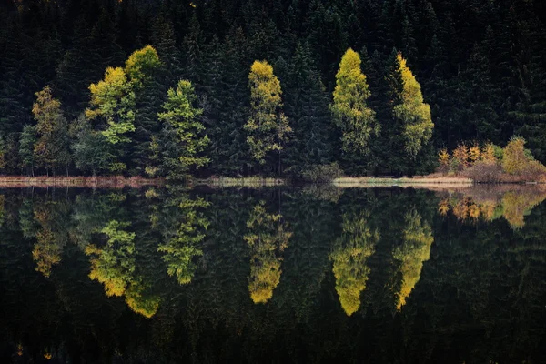 Autumn landscape in the mountains — Stock Photo, Image