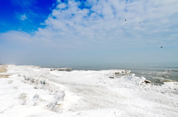 Marine Winterlandschaft, Vadu, Rumänien — Stockfoto