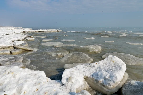 Paisaje marino de invierno, Vadu, Rumania — Foto de Stock