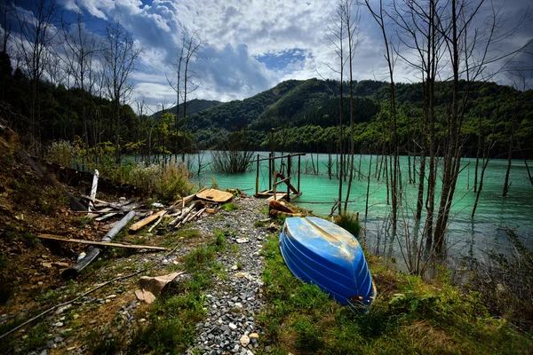 Romanya'da kirli göl — Stok fotoğraf