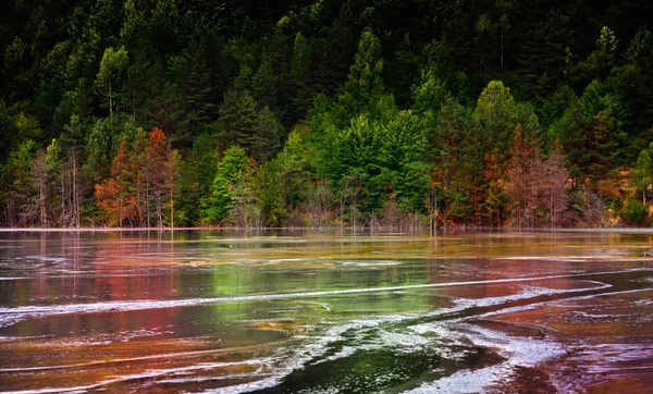 Polluted lake in Romania — Stock Photo, Image