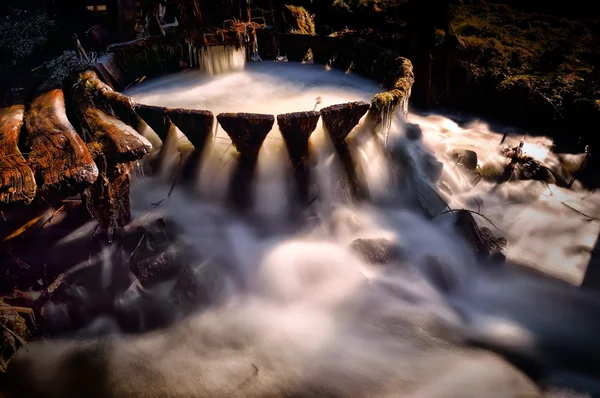 Cascada en el bosque — Foto de Stock