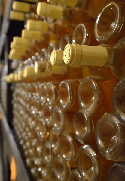 Apiladas botellas de vino en la bodega, polvoriento pero sabroso — Foto de Stock