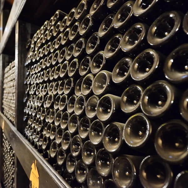 지하 저장실에 먼지투성이 지만 맛있는 와인 병을 쌓아 놓고 — 스톡 사진
