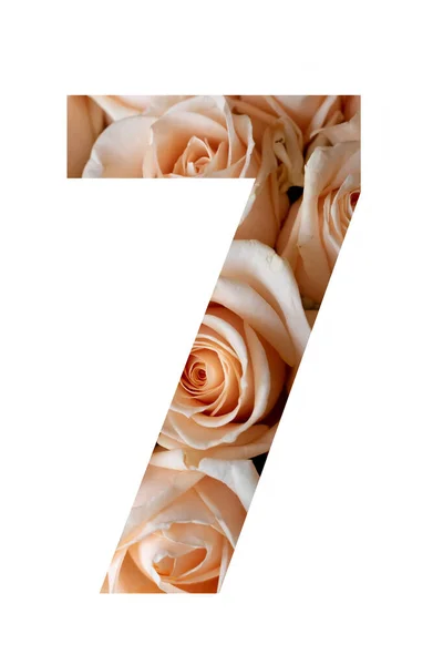 Nummer sieben der Rosenblüten auf weißem Hintergrund, Nummer für Banner und Anzeigen. — Stockfoto