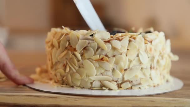 Close Carefully Cut Cake Knife Slices Esterhazy Cake Almonds Berries — Stock Video