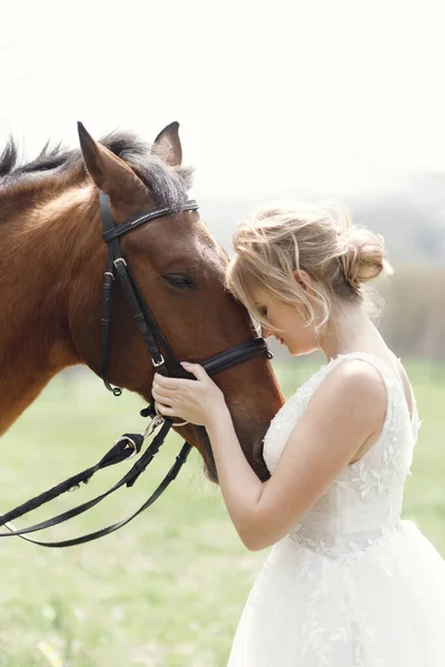Fotografia Casamento Com Cavalo Pôr Sol Uma Noiva Atraente Lado — Fotografia de Stock