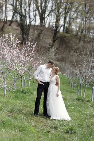 Una Boda Estilo Granja Una Plantación Montaña Pareja Disfruta Vista —  Fotos de Stock