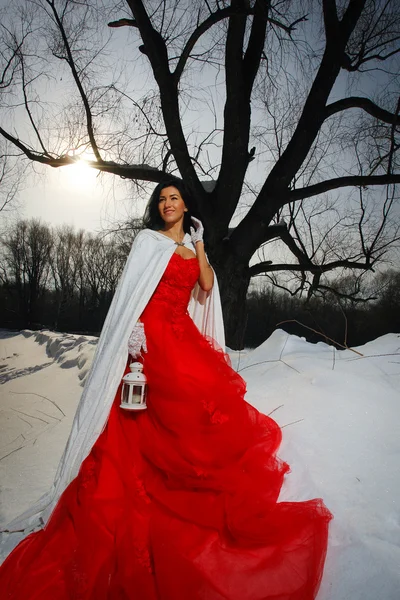 Hermosa morena en un vestido rojo —  Fotos de Stock