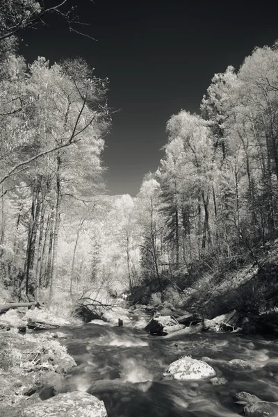 Landschap — Stockfoto