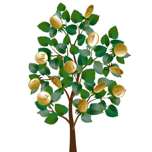 Yapraklı para ağacı ve meyve yerine altın sikke