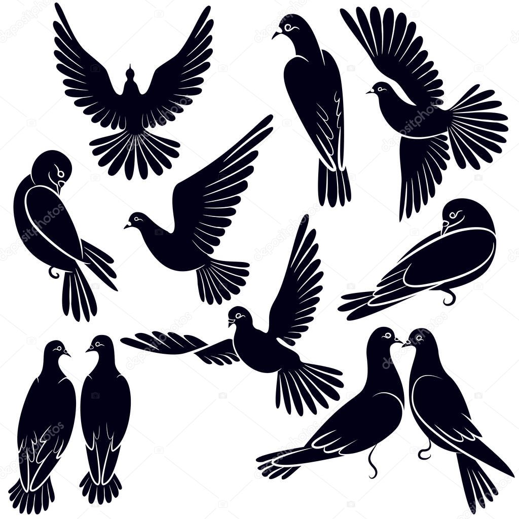 Silhouettes of pigeons that fly and sit