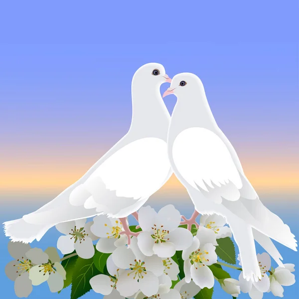 Dos Palomas Blancas Rama Manzano Flor — Vector de stock