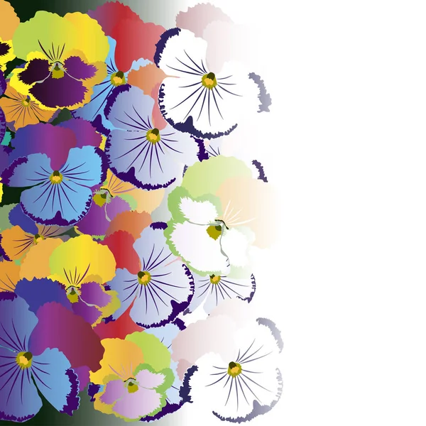 Gekleurde Pansy Bloemen Witte Achtergrond — Stockvector