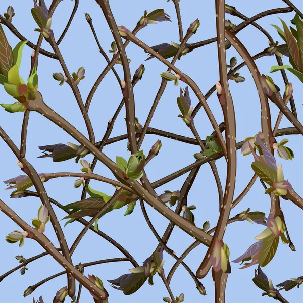 Yeni yeşil filizleri olan dallar ya da filizlenip yapraklar. Kusursuz arkaplan.