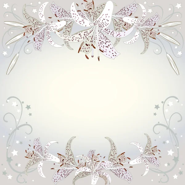 白百合花的花序背景 — 图库矢量图片