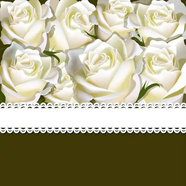 Kurdeleli beyaz gülün çiçek arkaplanı. Çiçek kopyalama alanı