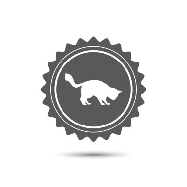 Madalya Vintage amblemi. kedi. Klasik düz simgesi. Vektör