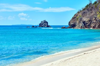 Coron beyaz kum plaj Palawan Filipinler