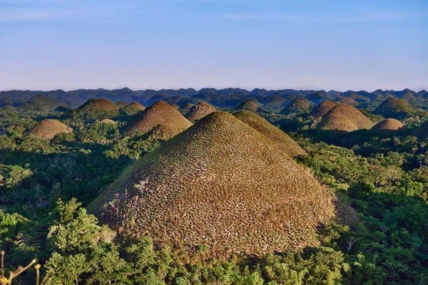 Chocolade heuvels, Bohol, Filipijnen — Stockfoto